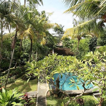 White House Hotel Ubud  Luaran gambar