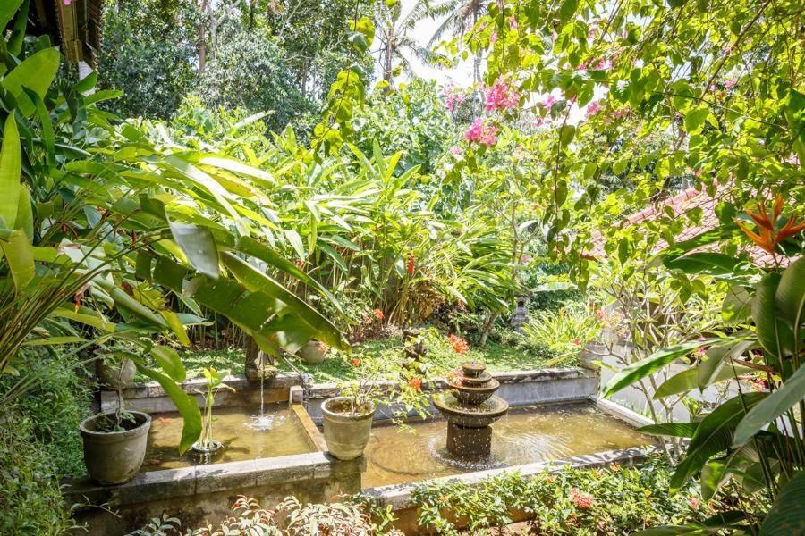 White House Hotel Ubud  Luaran gambar