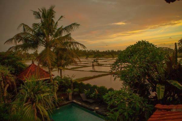 White House Hotel Ubud  Luaran gambar